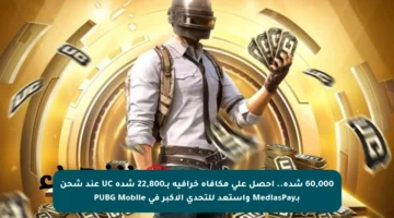 60,000 شدة.. احصل على مكافأة خرافية بــ22,800 شدة UC عند شحن بـMediasPay واستعد للتحدي الأكبر في PUBG Mobile